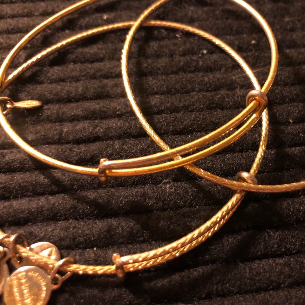 ALEX AND ANI Set of 3 Bangles - Russian Gold